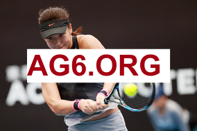 德甲第22轮霍芬海姆vs弗赖堡全场比赛录像回放2026年2月15日